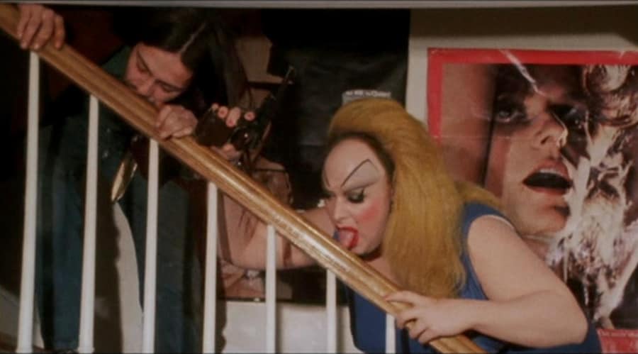 Style in John Waters’ Pink Flamingos (1972) 17