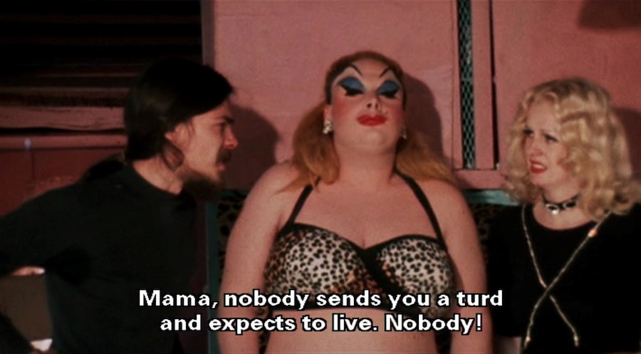 Style in John Waters’ Pink Flamingos (1972) 15