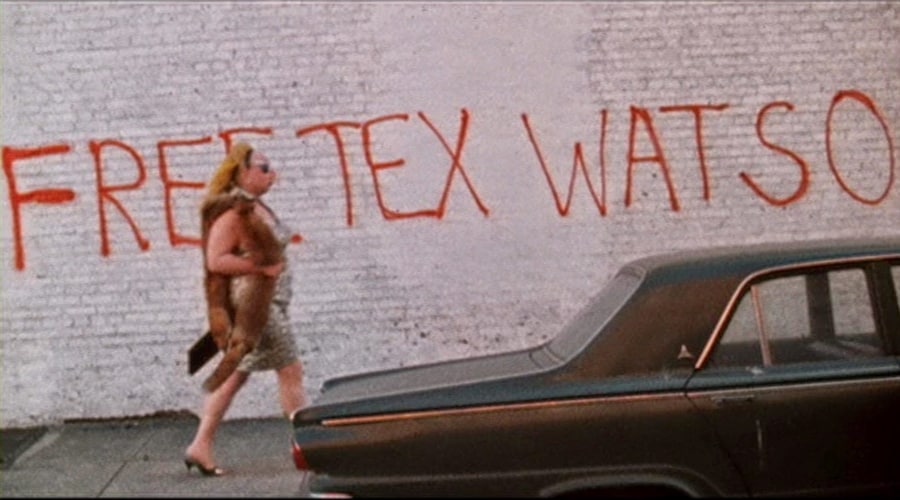 Style in John Waters’ Pink Flamingos (1972) 16