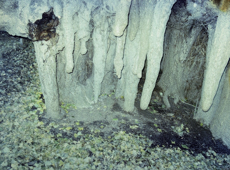 Daisuke Yokota’s Taratine 1