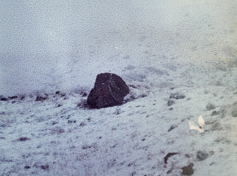 Daisuke Yokota’s Taratine 15
