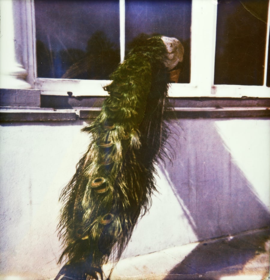 Piotr Zbierski at Unseen Photo Fair 2015 0