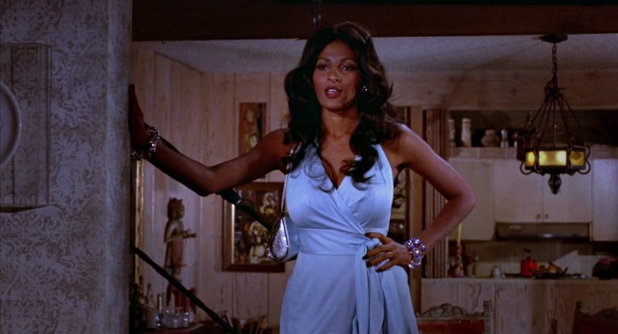 Pam Grier Foxy Brown Cult Film 24