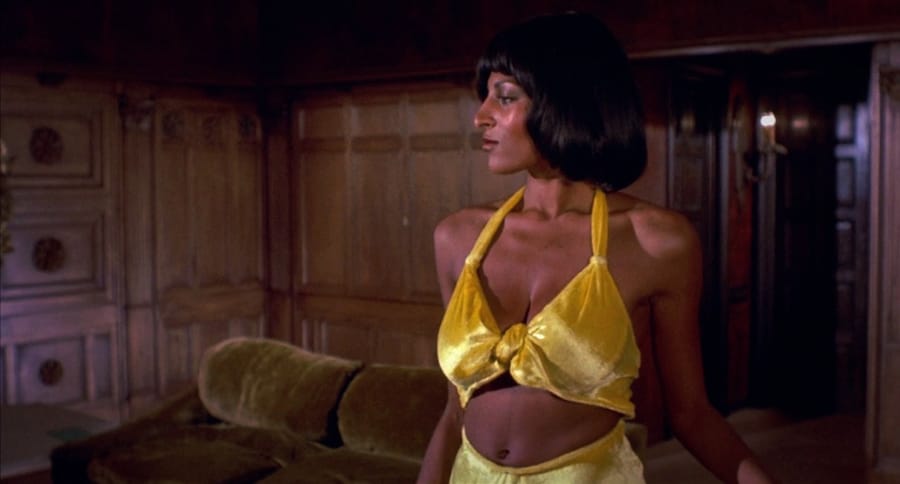 Pam Grier Foxy Brown Cult Film 19