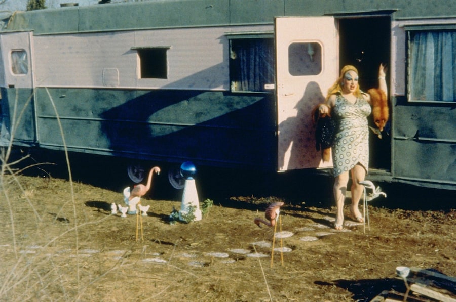 Divine John Waters Pink Flamingos Cult Film 17