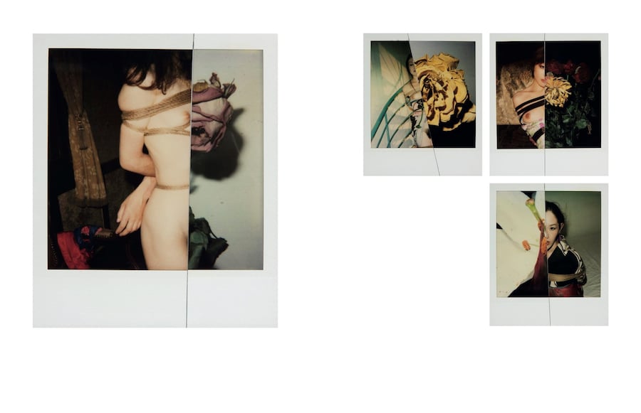 Araki 1