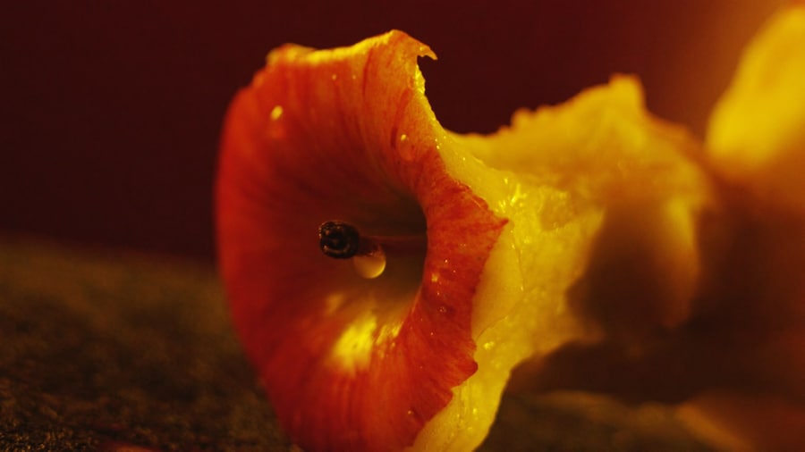 still from Juice Porn film 0