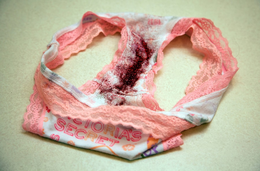 Hannah Altman’s “How To” 14