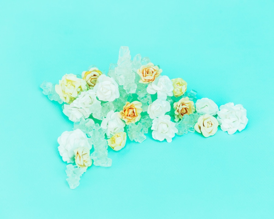 Frances F Denny’s Pink Crush 9