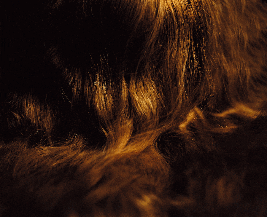 Bex Day Dazed Digital Editor&#39;s Picks November 15