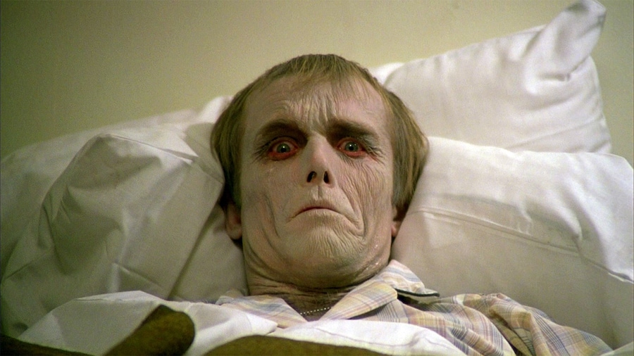 Dawn of the Dead 10
