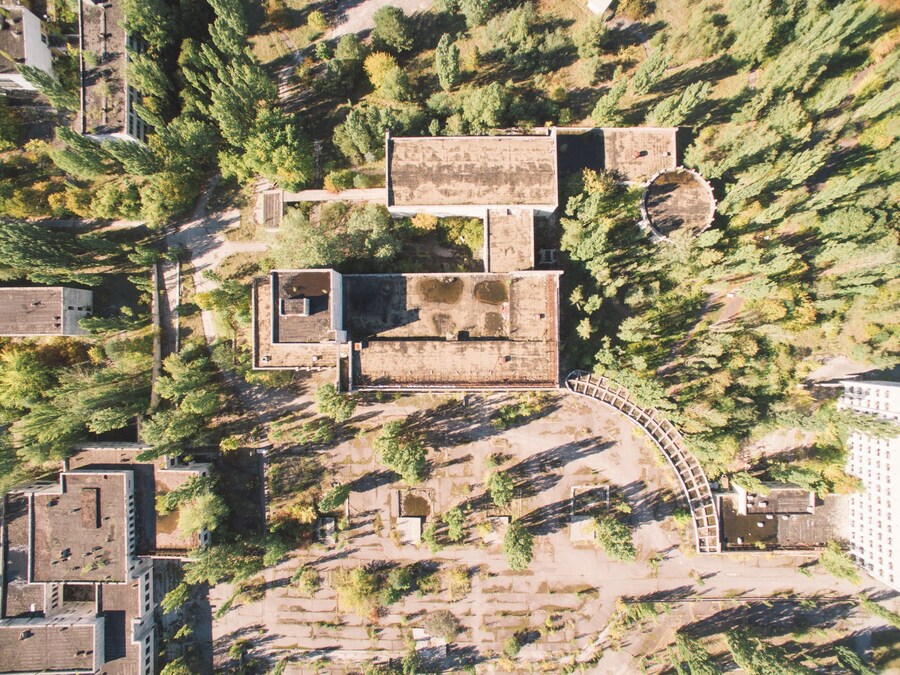 Ren&#233;e Lusano 20