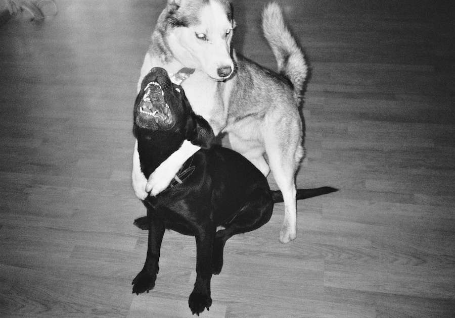 Visvaldas Morkevicius’s Public Secrets 8