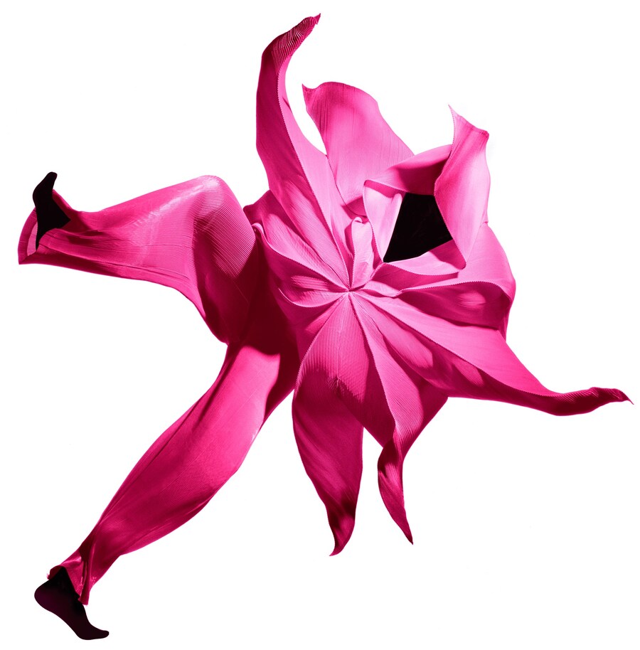 Issey Miyake, 1990-2015, Francis Giacobetti 12