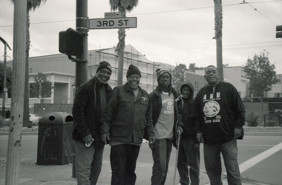 Land of the free miranda barnes 2