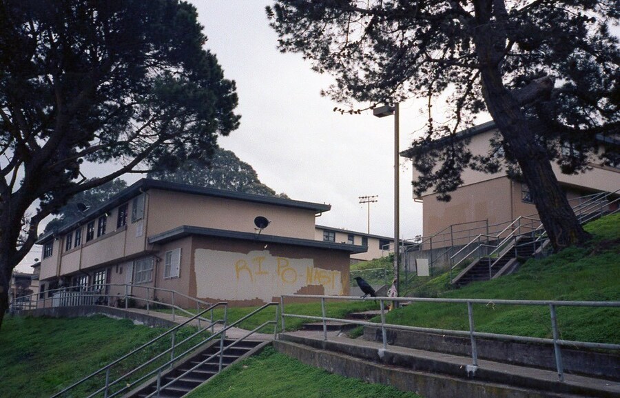 Land of the free miranda barnes 9