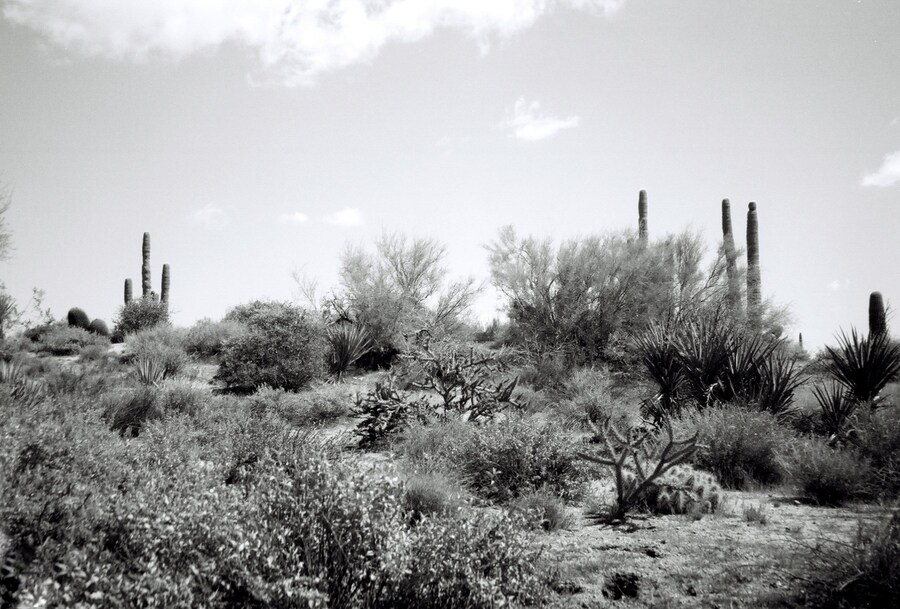 Land of the free miranda barnes 13