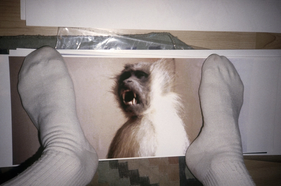 Slava Mogutin “Sock Monkey” 5