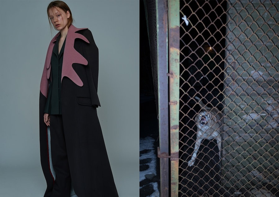 dazed_final-7 6