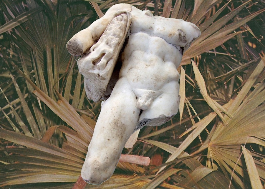  Live Wild CHARLOTTE FOS _LatinStudies6 0