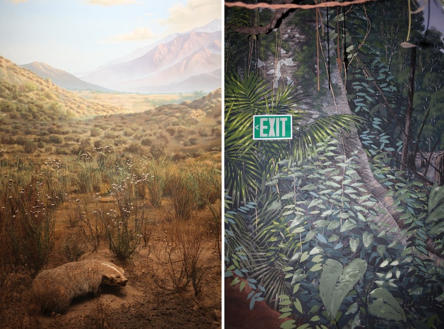  Live Wild *LILA KHOSROVIAN_Thespectacleofnature3 25