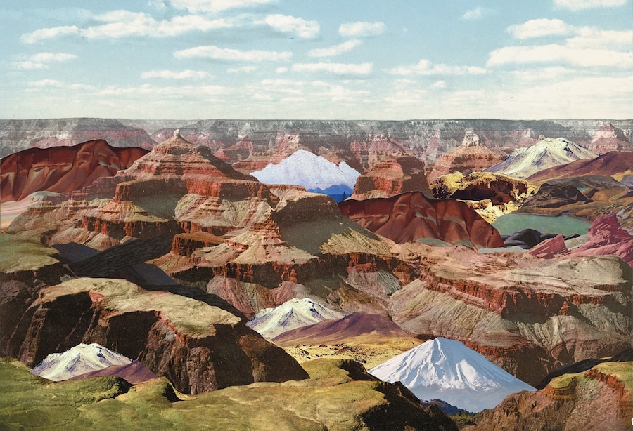  Live Wild MARGUERITE HORAY_Lafidelitedesimages1 18