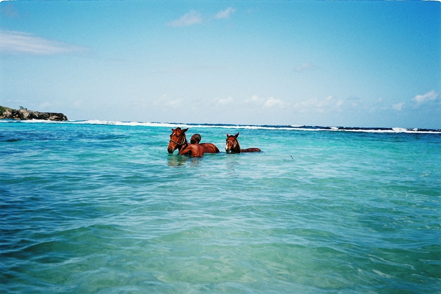 Jamaica, Scarlett Carlos Clarke 19