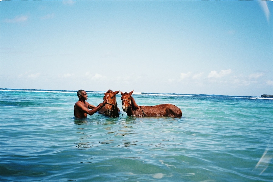 Jamaica, Scarlett Carlos Clarke 9