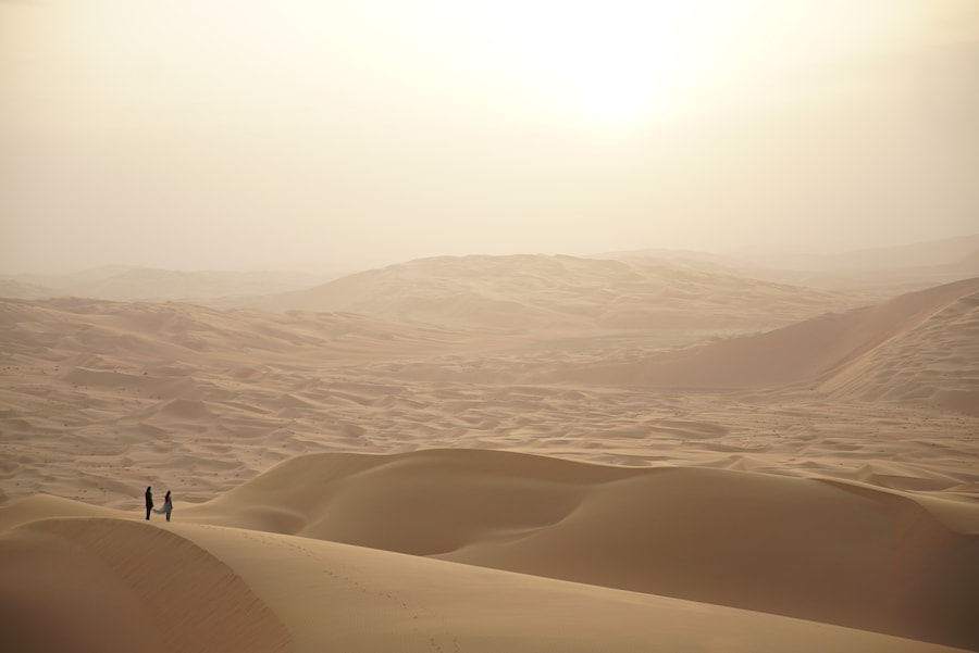 Michele Lamy in Dubai diary 6
