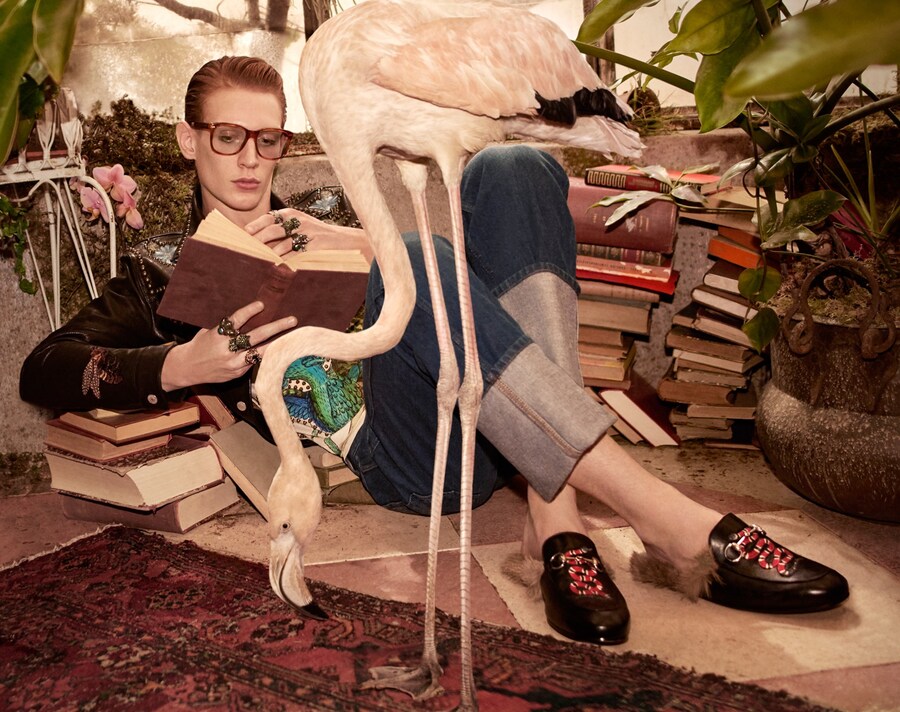 Gucci Pre-Fall 16 Campaign 0