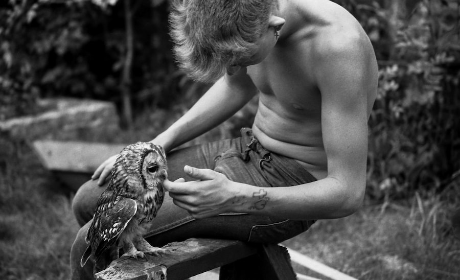 Gavin Watson, Owl, High Wycombe, 1980s 9