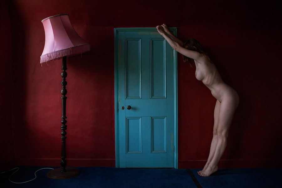 Polly Penrose 8