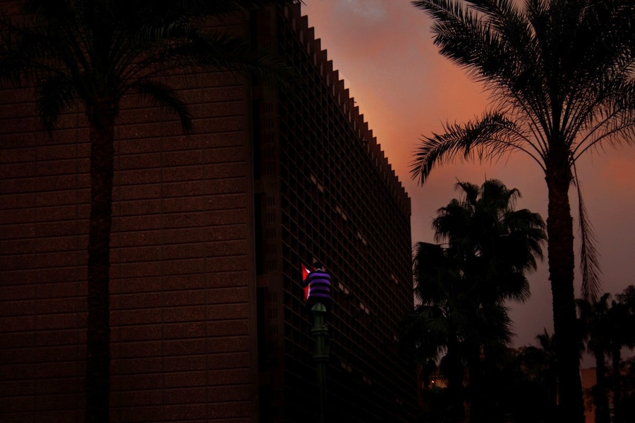 Laura El-Trantawy, In The Shadow Of The Pyramids 6