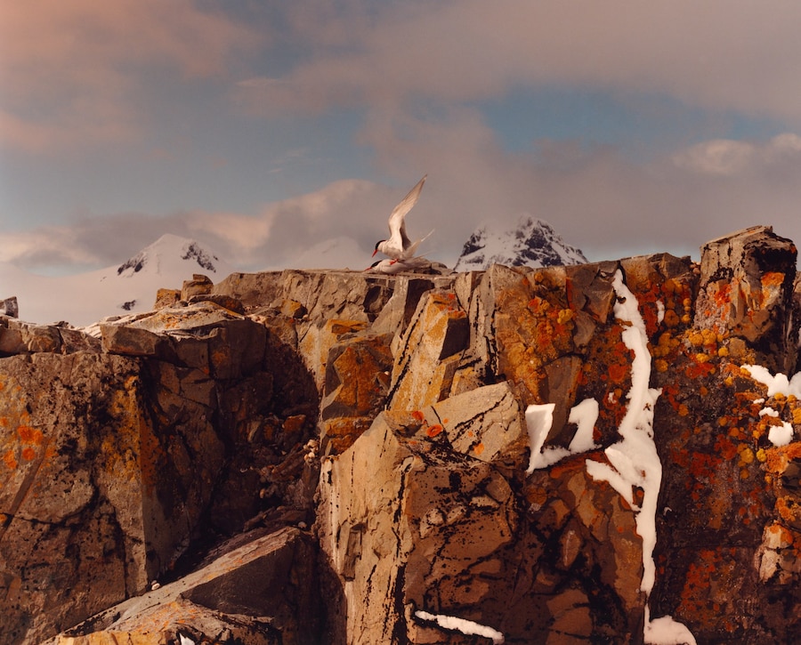 Jamie Hawkesworth short pleasurable journey 6