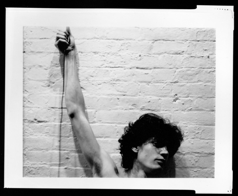 mapplethorpe look at the pictures dogwoof document