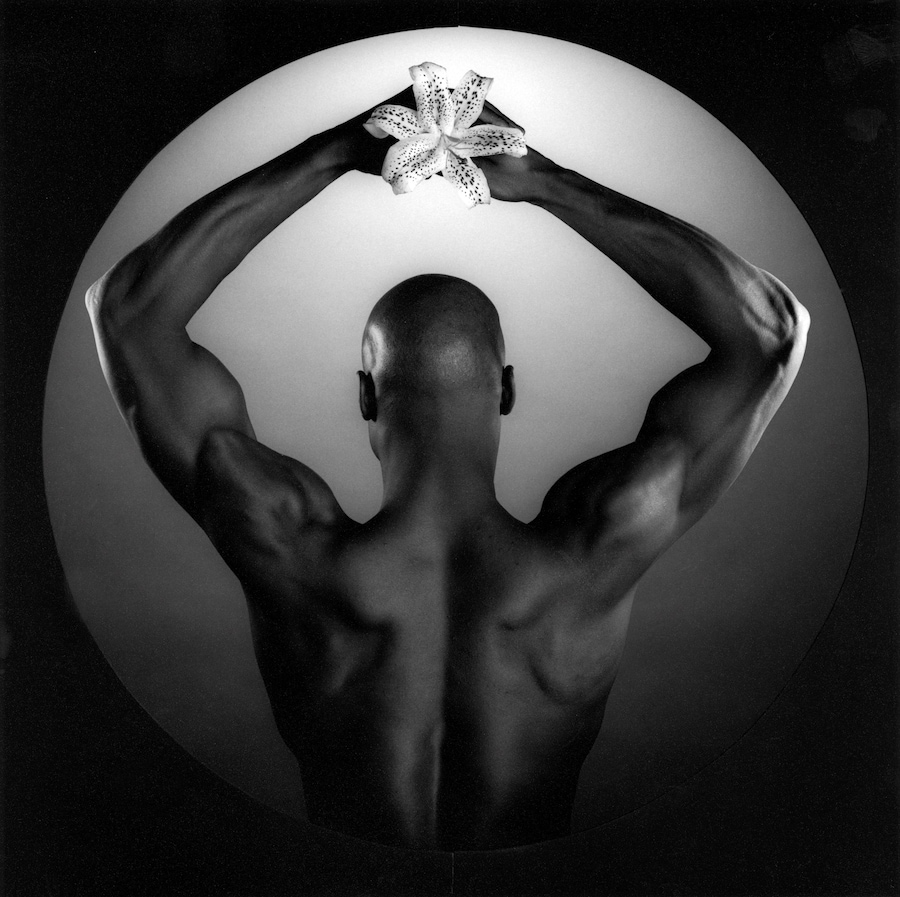 mapplethorpe look at the pictures dogwoof document 6