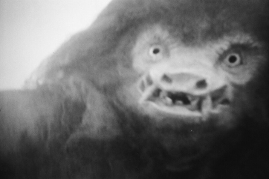 13787035693_6129c0f7a7_o 5