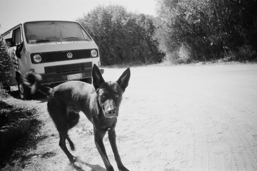 15278629291_9832a538a0_o 7