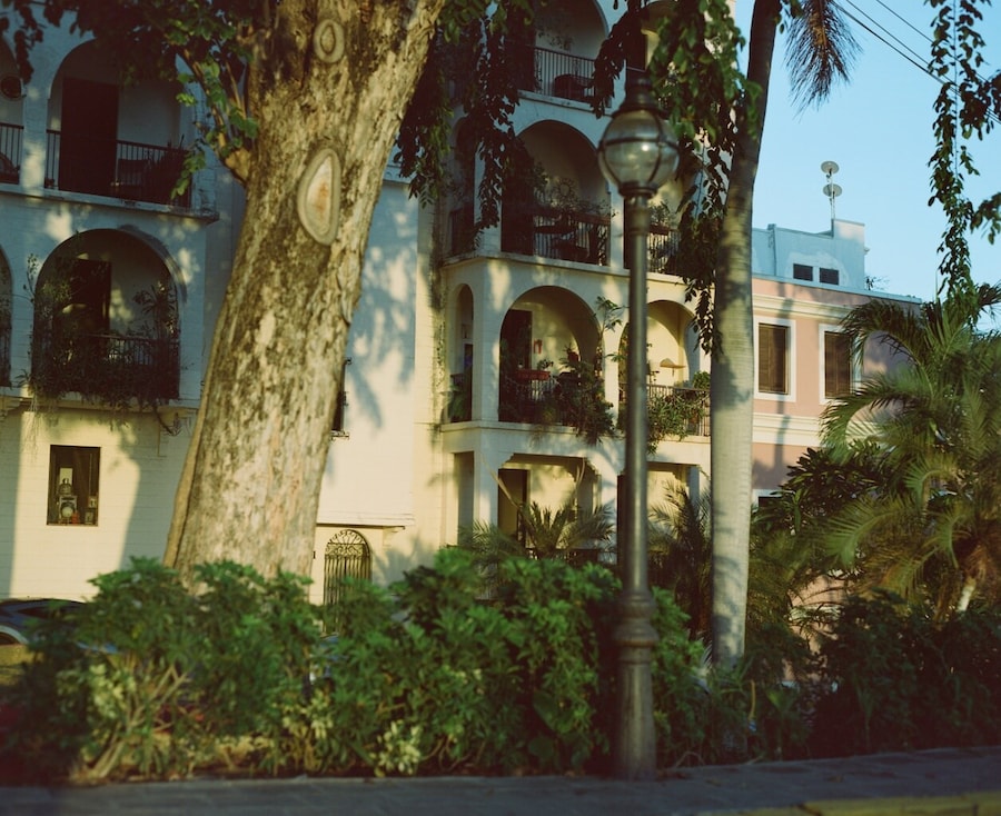 Trinity Ellis’ Puerto Rico 26