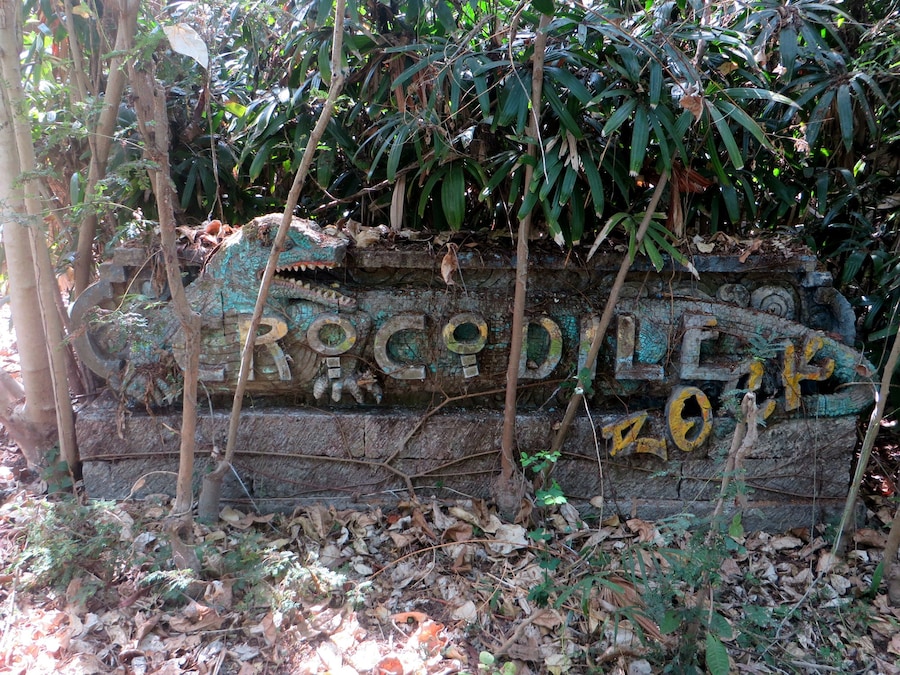 Crocodile Pit 4