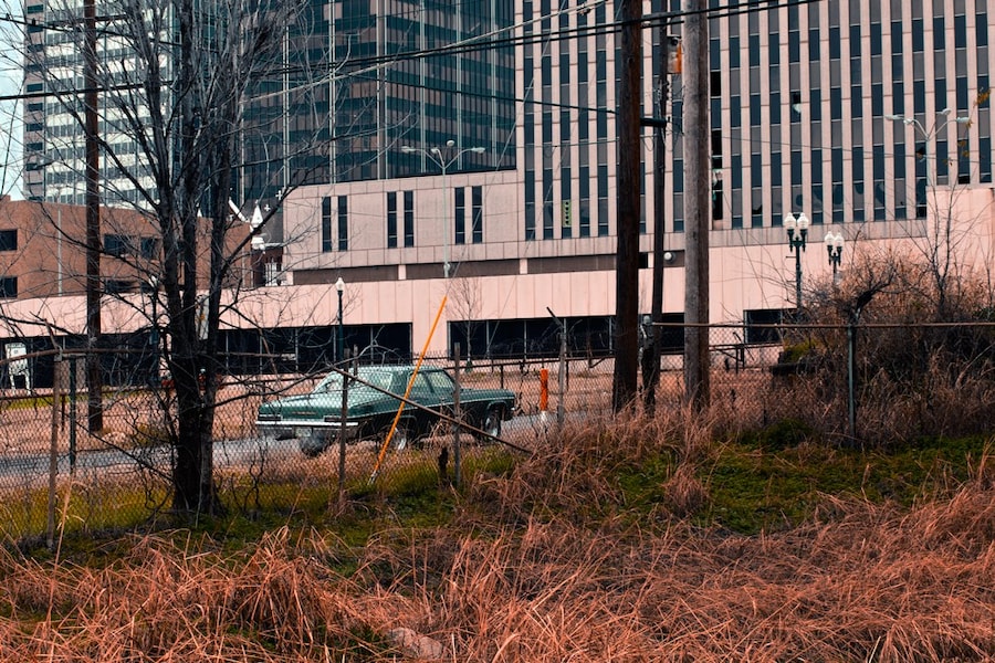 Ransom Ashley — Louisiana 7