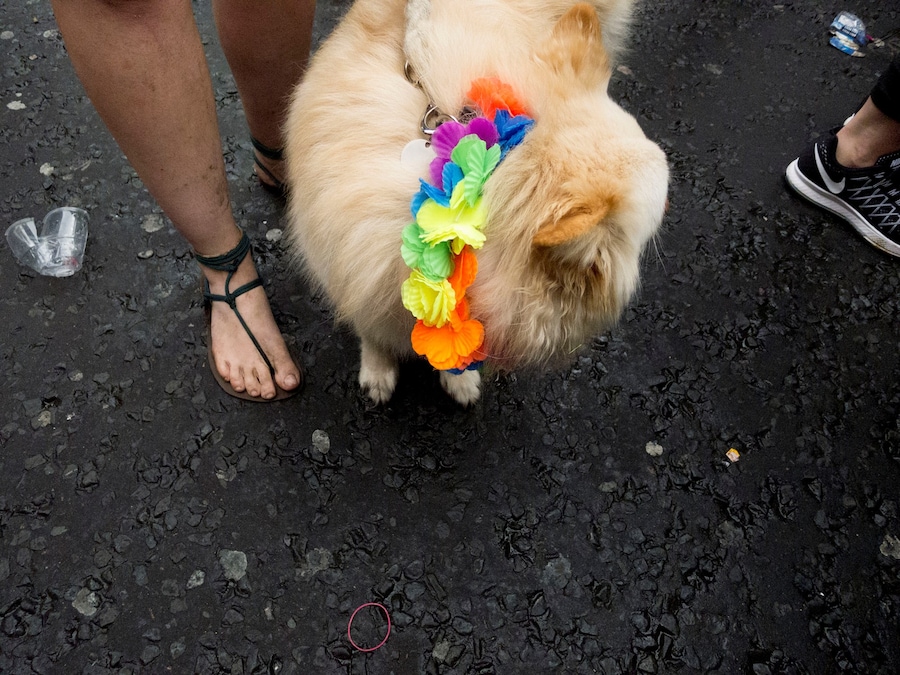 Orlando shooting Soho vigil, photographs by Alice Zoo, Dazed 27