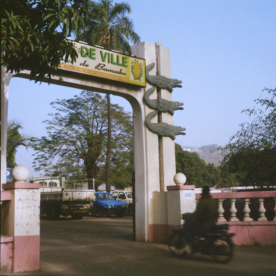 Crocodiles, Hôtel de Ville Bamako Karen Paulina B 5