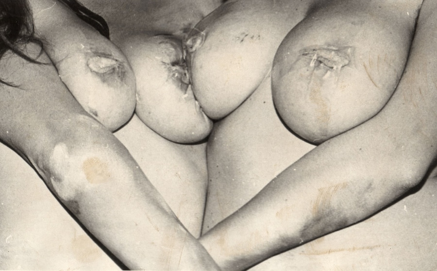 Neo Naturists, Sexist Crabs, The Zap Club, The Roy 9
