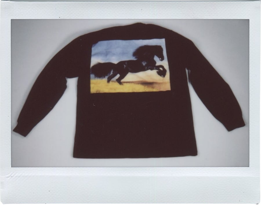 Polaroids from David Shapiro&#39;s ‘Supremacist’ 14
