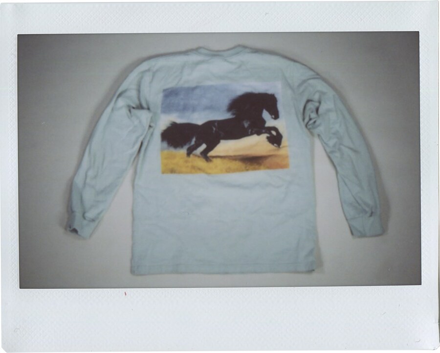 Polaroids from David Shapiro&#39;s ‘Supremacist’ 15