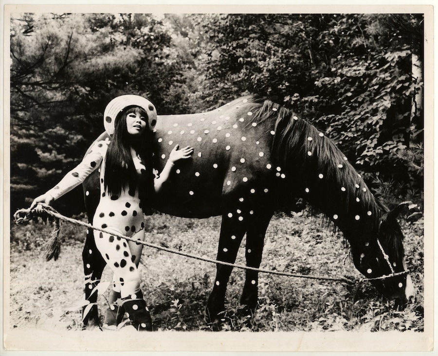 Horse Play Performance Woodstock 12