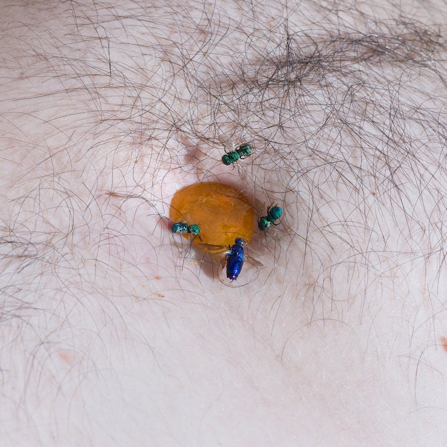 BODY HOLES by New Scenario 5