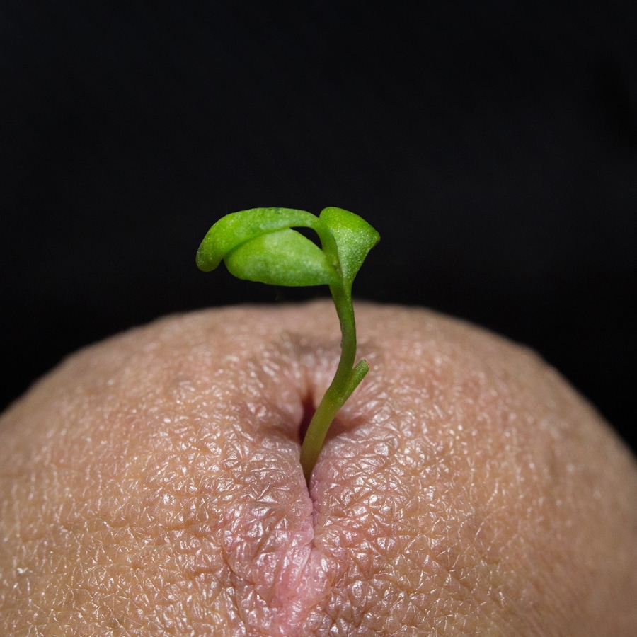 BODY HOLES by New Scenario 10
