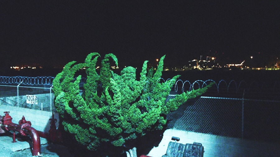 06 Cyprien Gaillard, Still from Nightlife 16